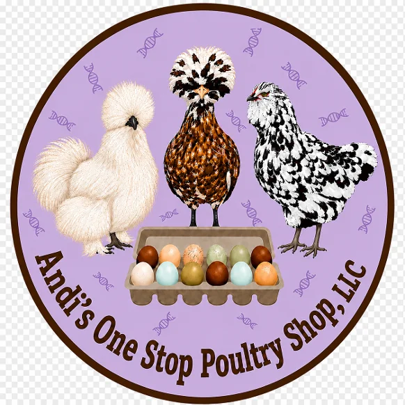Andi’s One Stop Poultry Shop, LLC — three chickens and a carton of colorful eggs
